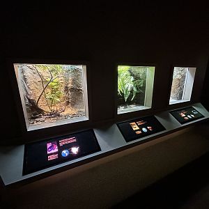 Assorted Vivaria - Unseen New World