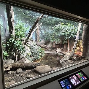 Green Anaconda & Red-tailed Boa Exhibit - Unseen New World