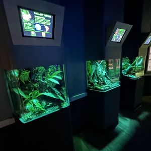 Nocturnal Vivaria - Unseen New World