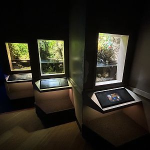 Assorted Vivaria - Unseen New World