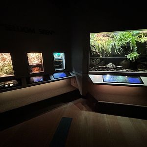 Assorted Vivaria - Unseen New World