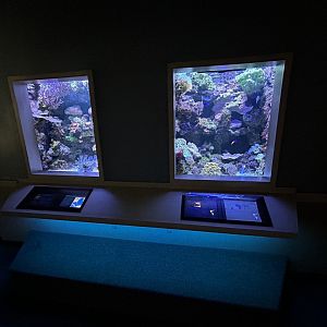 Reef Tanks - Unseen New World