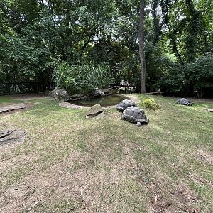 Galapagos Tortoise & Aldabra Tortoise Exhibit