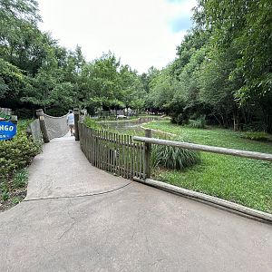 American Flamingo Exhibit