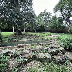 Baird’s Tapir & Crested Screamer Exhibit