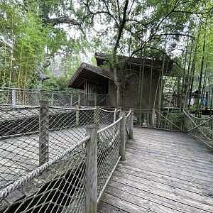 Spider Monkey Viewing Building