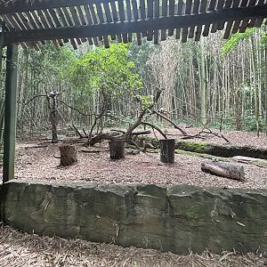 Ring-tailed Lemur Exhibit