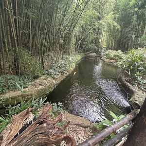 Koi Pond