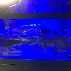 Euphrates (?) softshell tank