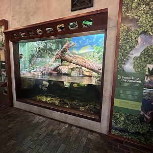 Herp & Fish Paludarium