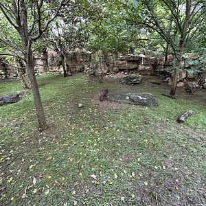 Southern Pudu & Red-footed Tortoise Exhibit