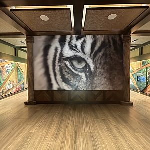 Sumatran Tiger Viewing Building