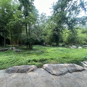 Sumatran Tiger Exhibit