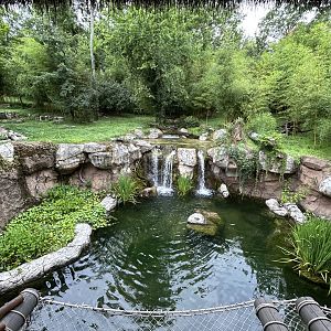 Sumatran Tiger Exhibit