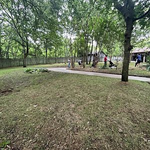 Red Kangaroo Walkthrough Exhibit