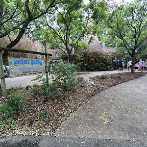 Lorikeet Feeder Aviary