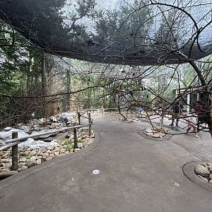 Lorikeet Feeder Aviary
