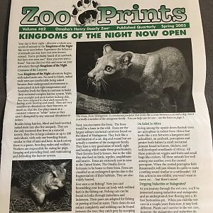 ZooPrints Spring 2003 - KOTN Opening Article