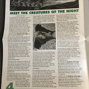 ZooPrints Spring 2003 - KOTN Opening Article