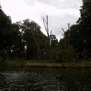 Chimpanzee enclosure 6.7.23