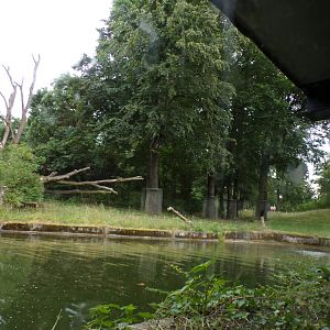 Chimpanzee enclosure 6.7.23