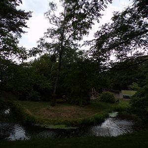 Gorilla enclosure 6.7.23