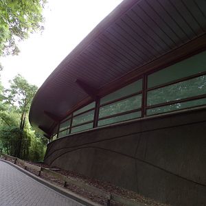 View of Ocean from outside 6.7.23