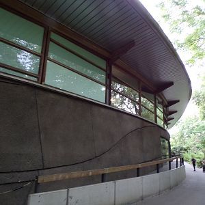 View of Ocean from outside 6.7.23