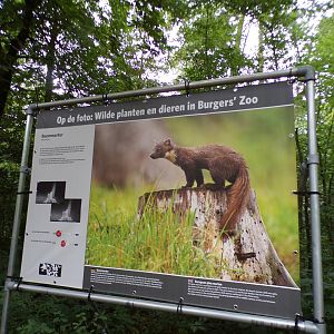 Wildlife signage 6.7.23