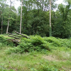 Cheetah enclosure 6.7.23