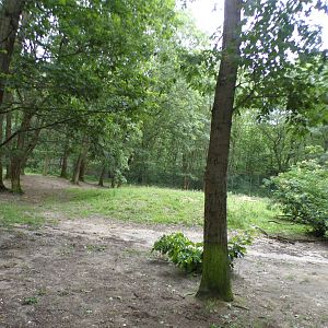 African lion enclosure 6.7.23