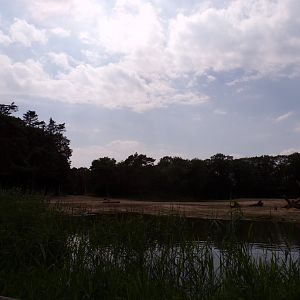 African savanna enclosure 6.7.23