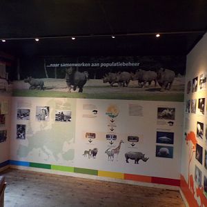 Information about the zoo 6.7.23