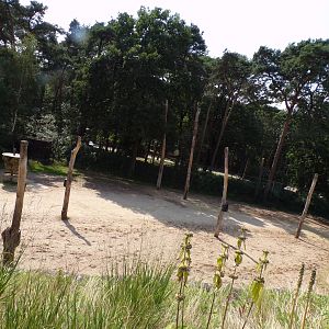 African savanna enclosure 6.7.23