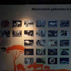 Information about the zoo 6.7.23