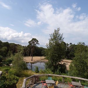 African savanna enclosure 6.7.23