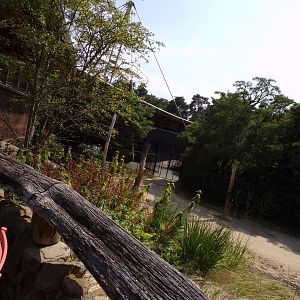 African savanna enclosure 6.7.23