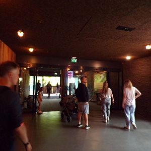 Path heading past the the restaurant and to the Bush 6.7.23