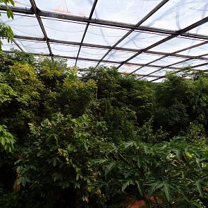 Overview of the Bush 6.7.23