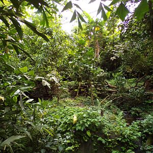 ASCO enclosure in Bush 6.7.23