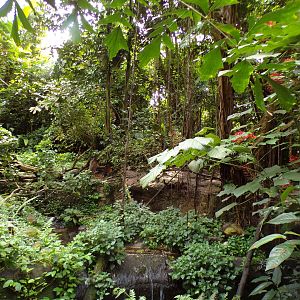 ASCO enclosure in Bush 6.7.23