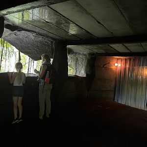 Viewing area behind waterfall 6.7.23