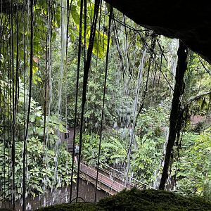 View from behind waterfall 6.7.23