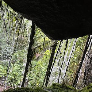 View from behind waterfall  6.7.23
