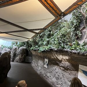 General view in Ocean 6.7.23