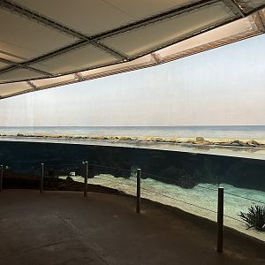 Main shore tank 6.7.23