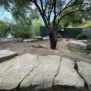 Komodo Dragon Exhibit