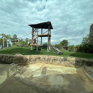 Orangutan Exhibit