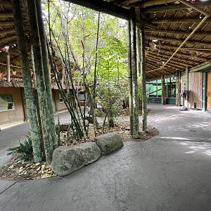 Orangutan Exhibit - visitor area