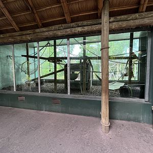 Orangutan Exhibit